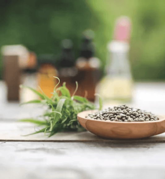 CBD vs. Kratom - Everything You Need to Know - korthals-collection