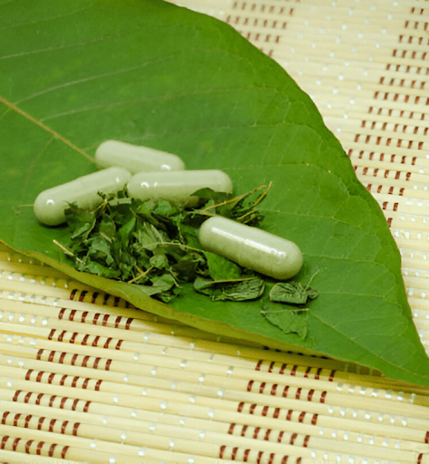 Indo vs. Malay Kratom: A Comprehensive Comparison - korthals-collection