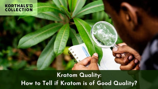 Kratom Quality: How to Tell if Kratom is of Good Quality - korthals-collection