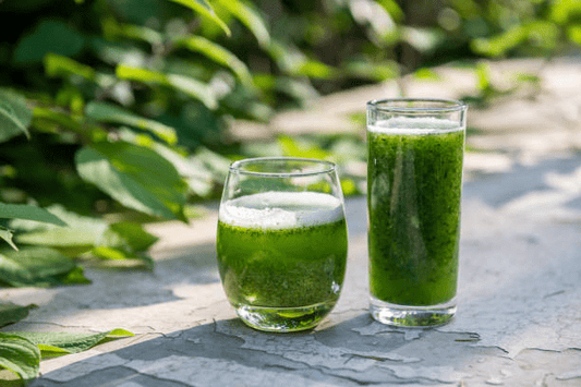 Unlocking the Magic of Kratom: Innovative Kratom Beverages - korthals-collection