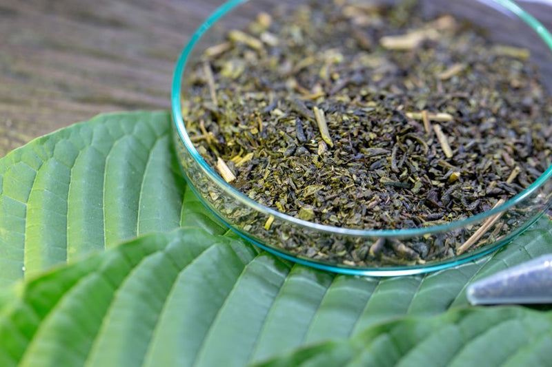 Kratom Extraction: A Complete Guide on Kratom Extracts – korthals ...